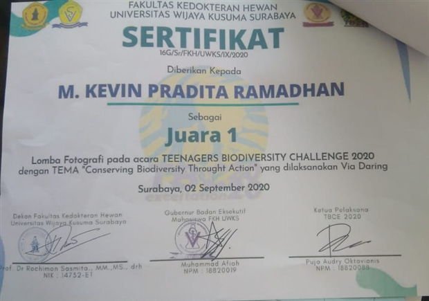 Berita Lainnya